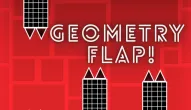 Geometry Flap!